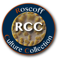 Roscoff Culture Collection